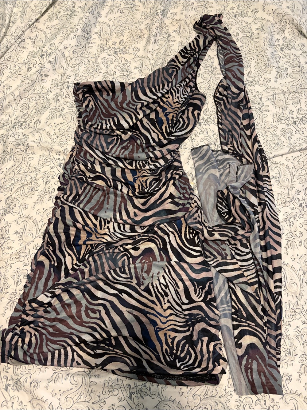 Fashion Nova Zebra Dress